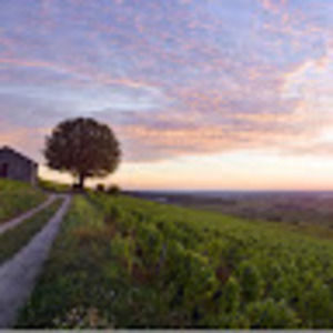 Meet your Posher, Justine